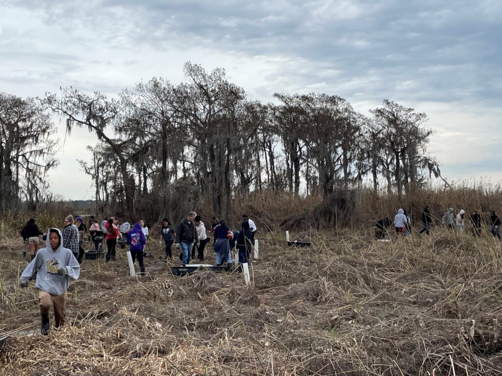 coastal restoration in south Louisiana